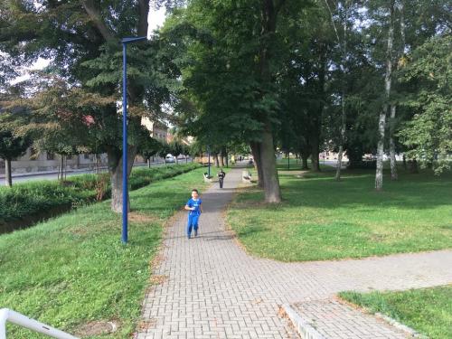 BĚH LIBUŠÍNSKÝM PARKEM,  sportovní den